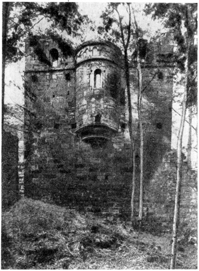 Вильденберг. Замок, XIII в. Апсида замковой капеллы