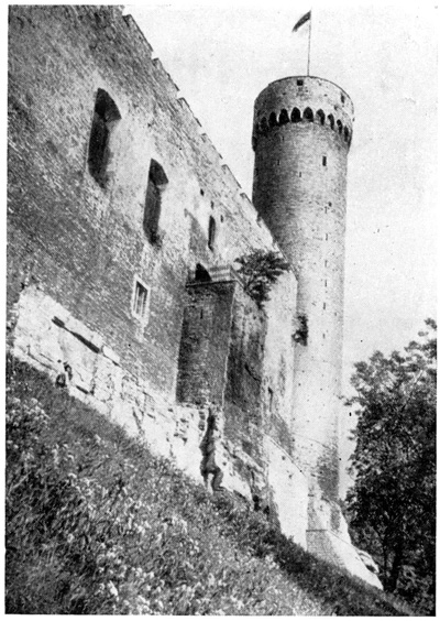 Таллин. Замок в Вышгороде, XIV в., башня «Длинный Герман», XIV—XV вв.